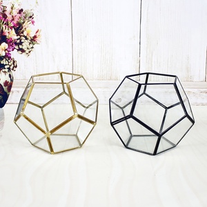 Hồ Cạn Khối Lập Phương Được Thiết Kế Đẹp Mắt Cho Cây Trồng - Product Image 1