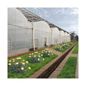 室外温室金属框架农业农业商业大型多跨度塑料植物温室