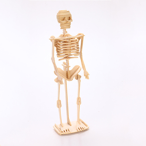 医学教育DIY 3D木制拼图骨架模型儿童人体解剖工具包盒装，带茎 - Product Image 4