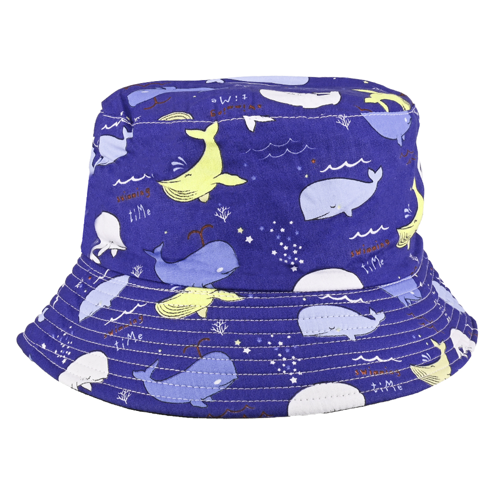 dauphins bleus
