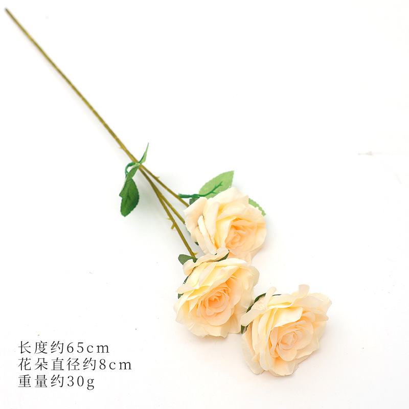 Asakabeshi color