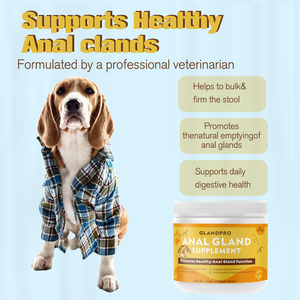 Groothandel Dierenarts Goedgekeurd Anale Klier Zachte Kauwtraktaties Supplement Voor Spijsverteringsondersteuning Constipatie Verlichting En Ontlasting Steviger - Product Image 5