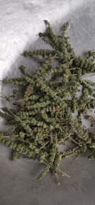 Jing jie cru erva seca japonês <span class=keywords><strong>catnip</strong></span> flor picos para venda
