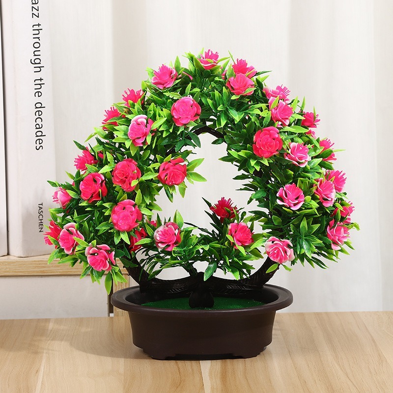 Rosa