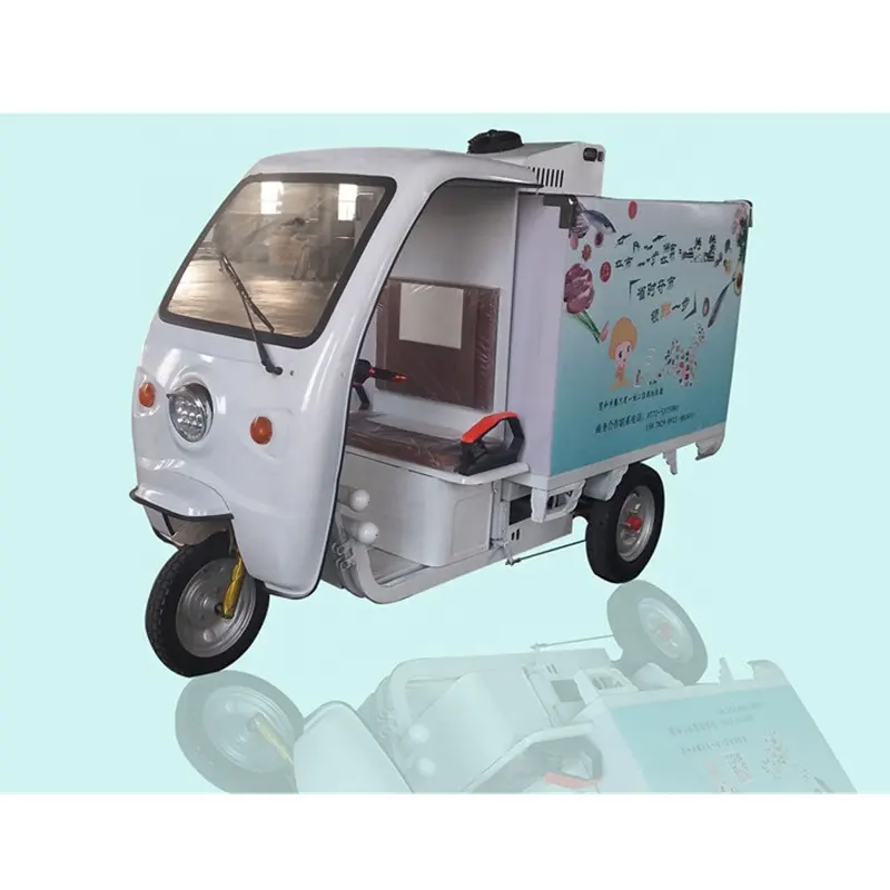 OEM SCD1.6 Điện Reefer Tủ Lạnh Gelato Thực Phẩm Tủ Đông Xe Tải Van Ice Cream Carros Carrinho De Sorvete Camion Frigorifique
