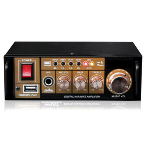 USB SD FM MIC <strong>Input</strong> AUX <strong>Input</strong> Mini Amp Nobler Iron Panel Pa Mini Digital DJ/KTV/Events Audio <strong>Amplifier</strong> - Product Image 3