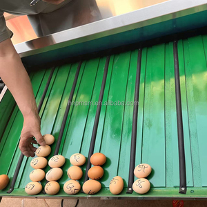 Máquina automática de limpieza de clasificación de huevos, clasificador de pesaje de huevos de pollo con piezas de repuesto, clasificador de alta eficiencia - Product Image 4
