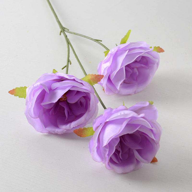 3 rosas de Austin