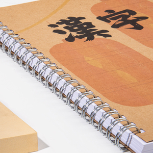 厂家定制印刷A5汉字练习册螺旋学生书写笔记本 - Product Image 3
