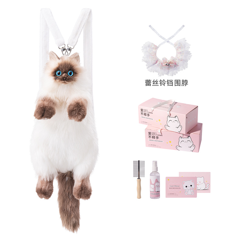 Siamese + lace bell collar