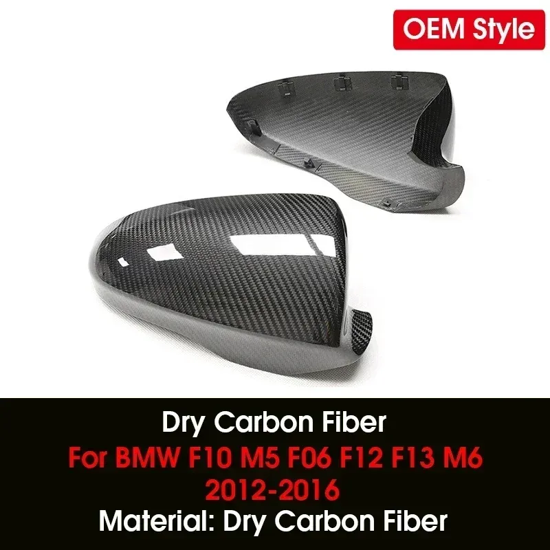 Dry Carbon Fiber