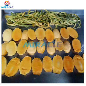 Büyük kapasiteli 1000 kg/saat elma ve Mango soyucu çekirdek ekmek kullanımı için sebze çıkarma makinesi - Product Image 6