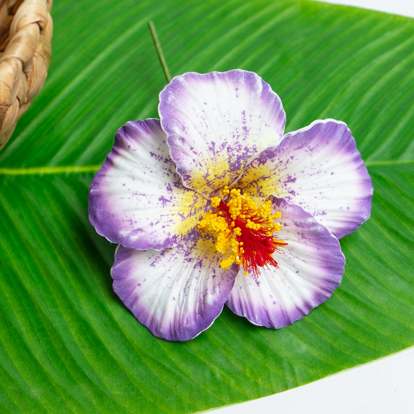 สีม่วง