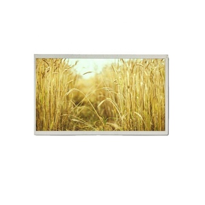 Moduli Display LCD in 5 5.5 dimensioni da 7 7.84 10.1 e da 12.3 pollici per uso commerciale e industriale - Product Image 1