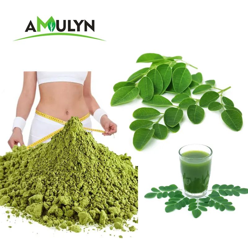 AMULYN all'ingrosso estratto di foglie di Moringa in polvere Moringa Oleifera foglie in polvere