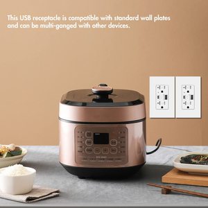 usb充电器插座20A 125V双工插座，带2个USB充电器端口a型C型插座，4.8A，UL列出的USB插座 - Product Image 6