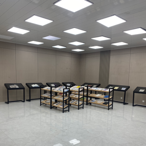 博物館文化遺物展示キャビネット古代の本と銀ドル紙幣アーカイブガラスキャビネット展示キャビネット
