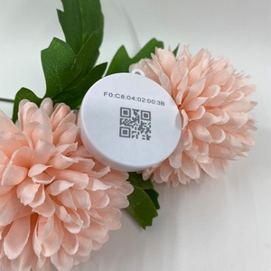 Anpassbares Bluetooth 5.0 iBeacon & Eddy stone Indoor Monitoring Proximity Marketing Tragbares Tag für IoT-Projekte - Product Image 3
