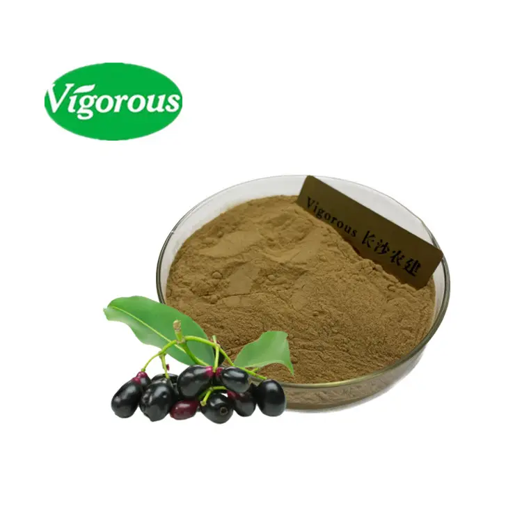 Best price high quality Jamun extract free sample organic 4:1 10:1 natural Eugenia Jambolana Extract Powder