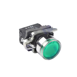 IEHC YB4 (XB4)-pulsante BW3462 con indicatore rosso N/C interruttore qualità 130/220 ~ 240v pulsante
