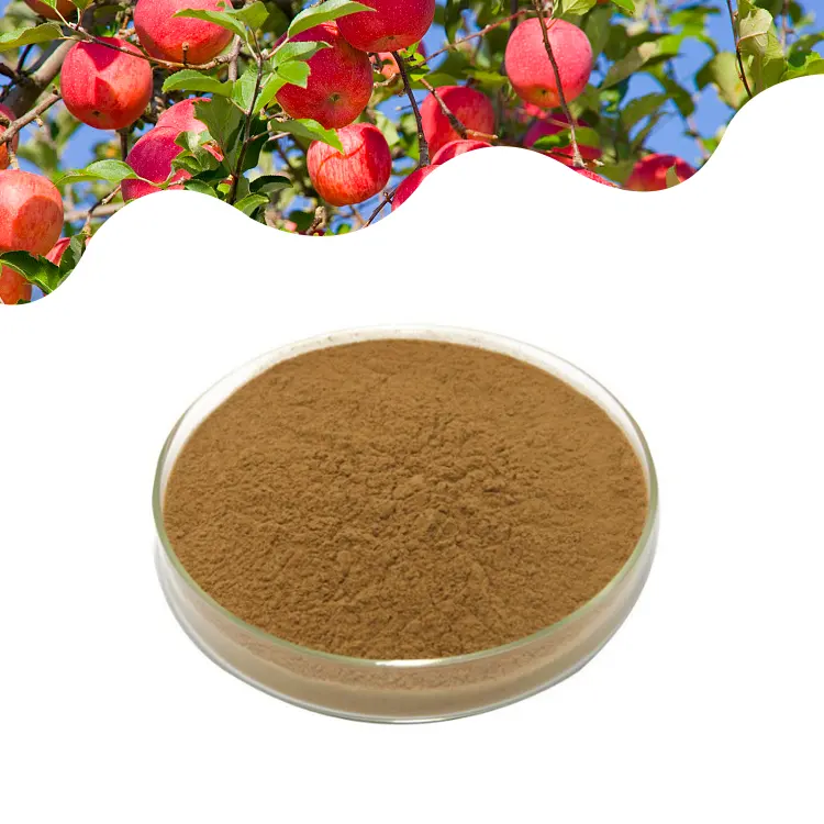 Herbasea polyfenols de extrato de apple orgânico, venda quente