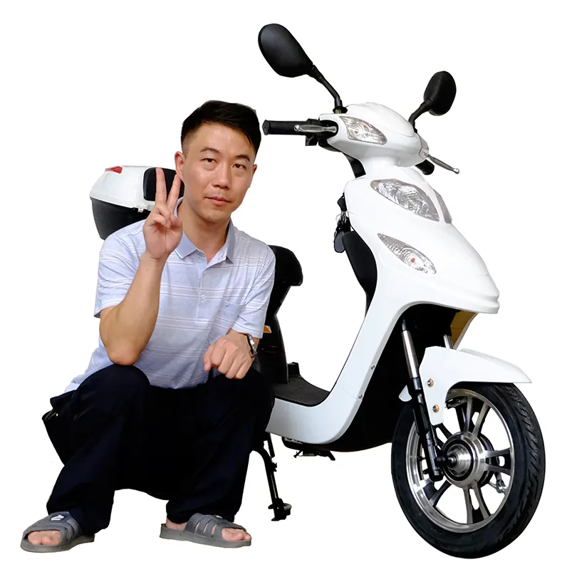350w 48V12ah CE approvato pedale assistita per adulti scooter elettrici