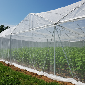 Rede Anti Inseto Plástico Agrícola Horticultura Rede Grama Abelha Anti Granizo Cortina Estufa Anti Inseto Net - Product Image 4