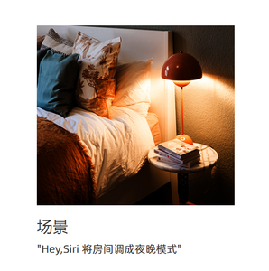KNX/EIB протокол Apple HomeKit шлюз KNX умная домашняя система инструмент - Product Image 6