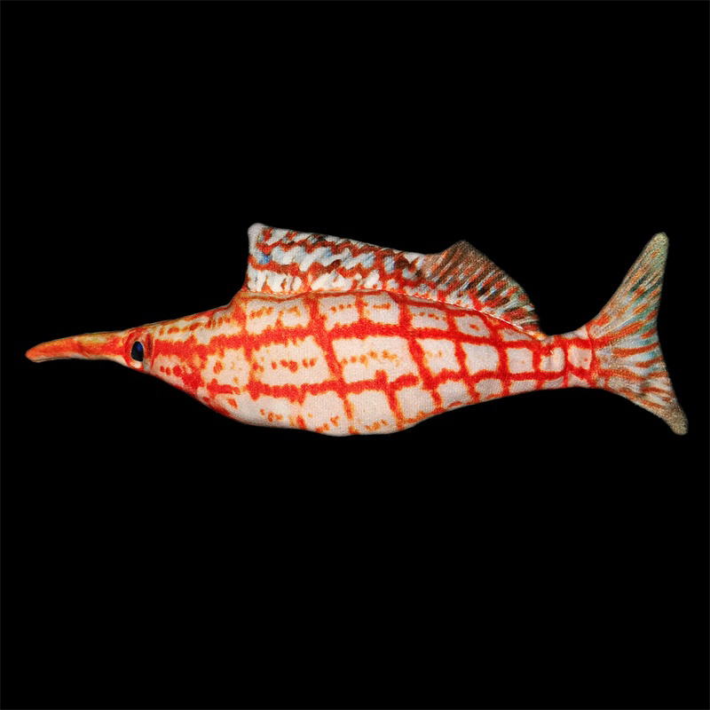 33beak fish (incluso cavo di ricarica USB)