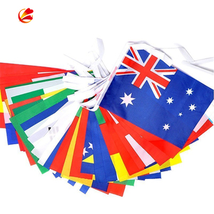Custom Pennant Flag <strong>String</strong> Customized Various Materials , Various Sizes , Various <strong>Colors</strong> Pennant Flag - Product Image 4