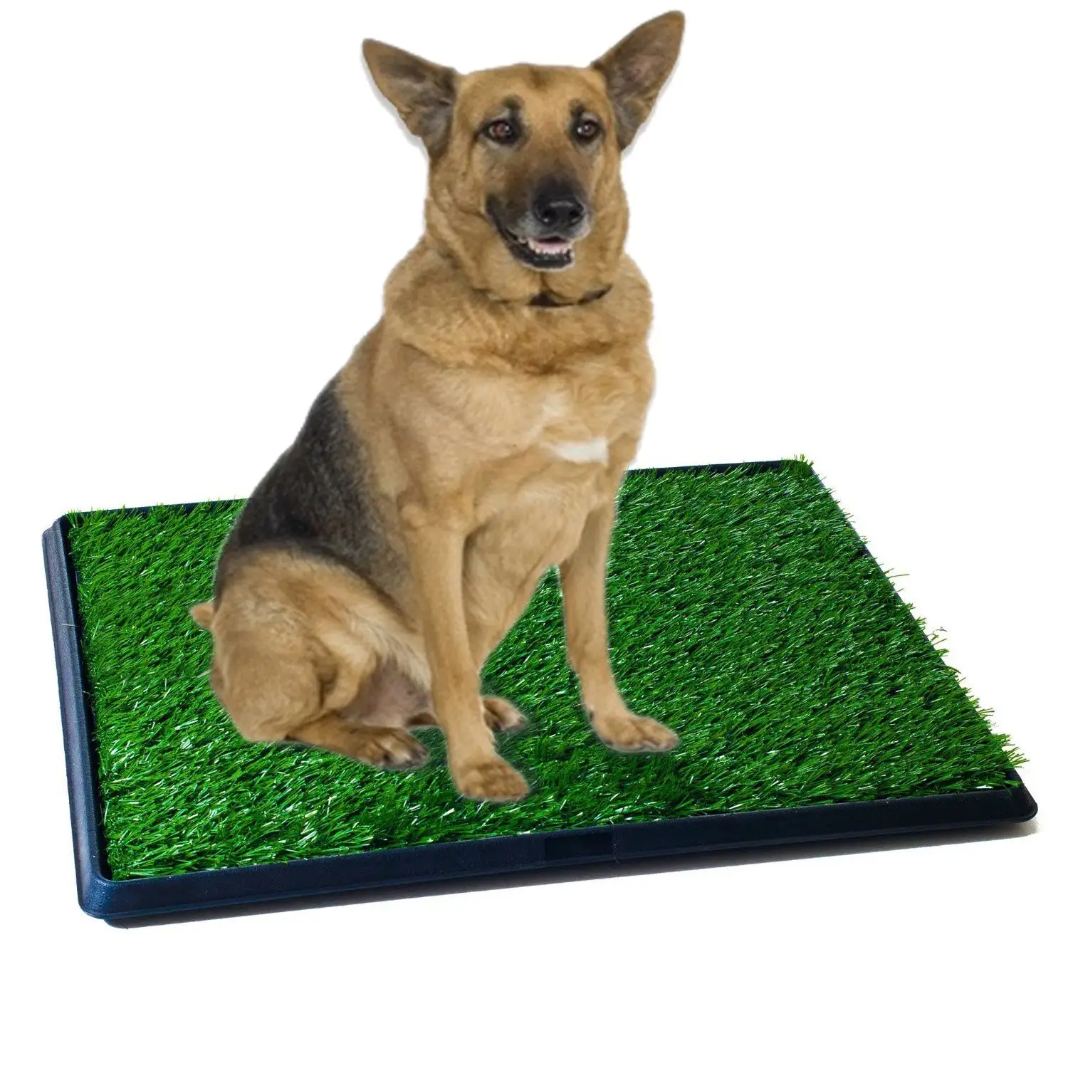 Pet WC Pad Gras matte Indoor Tray Töpfchen streu Urin Hund Versorgung Home Pet Zubehör Pet Mat Training Tray für zu Hause