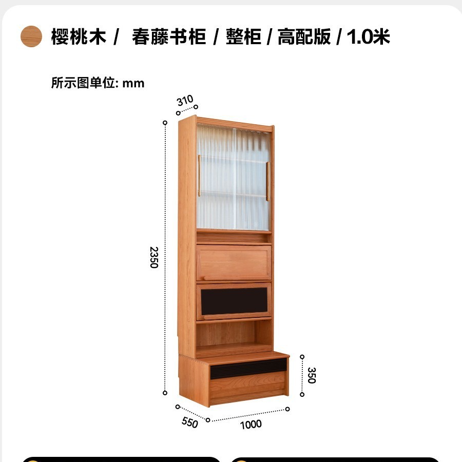 100 cm de ancho - Mueble completo (versión de alta gama)