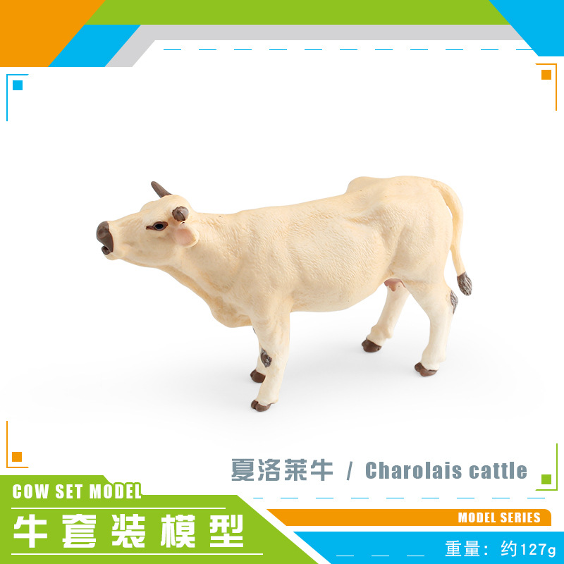 PL127-2565 วัวชารอไลส์ 127 กรัม