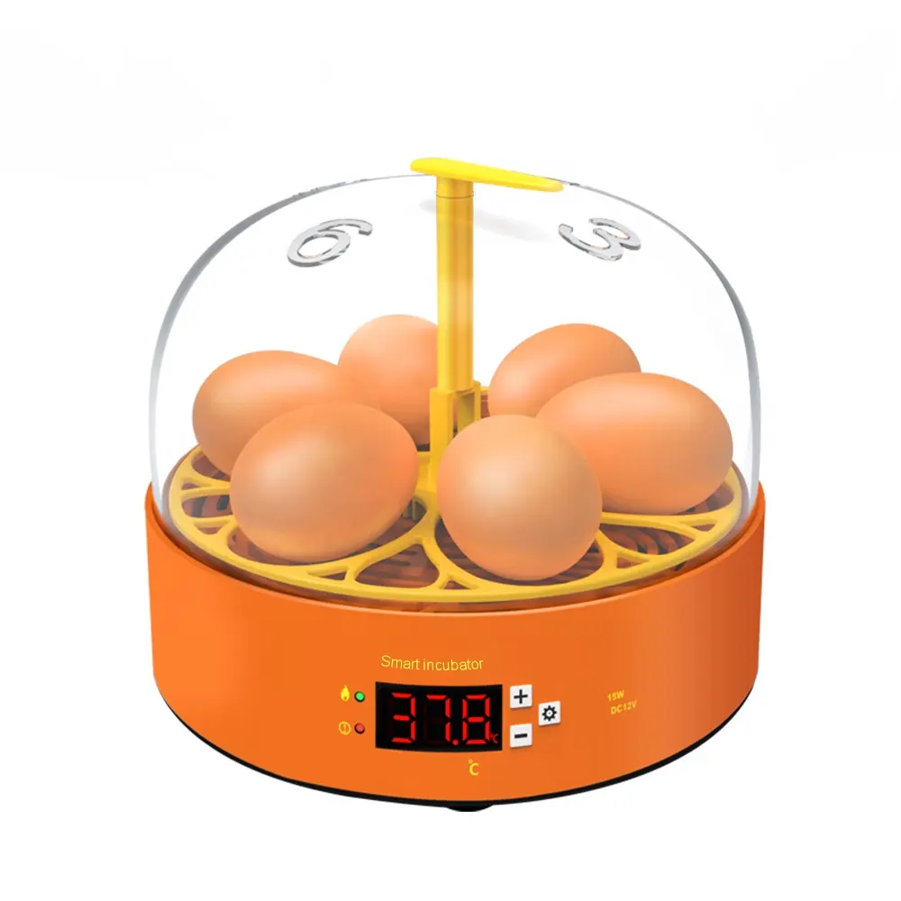 2021 yeni gelmesi otomatik 6 tavuk yumurta kuluçka makinesi eğitim ve çocuk eğlence