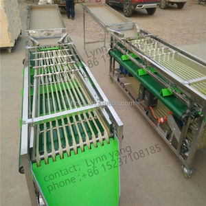 Factory Price Fruit plum Passion Sorter Potato Roller Size <strong>Sorting</strong> Machine apple Mango Walnut Date Garlic Grade Sorter - Product Image 3