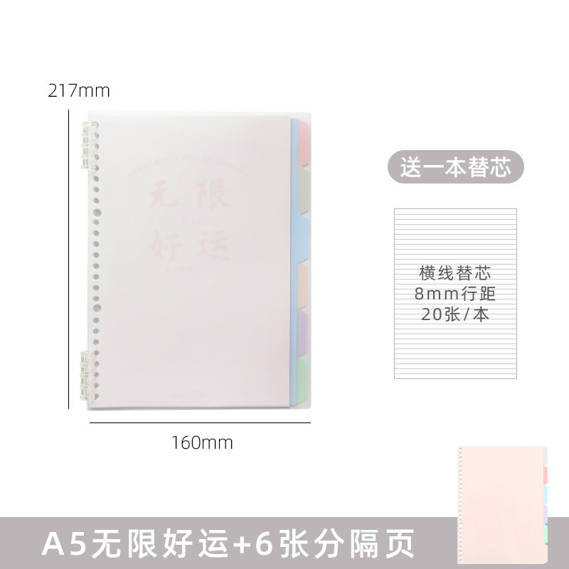A5 infinity good luck cover + 6 divider pages