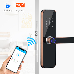 TTlock Wifi telecomando Smart Lock M1 sicurezza domestica controllo accessi blocco antifurto blocco biometrico delle impronte digitali