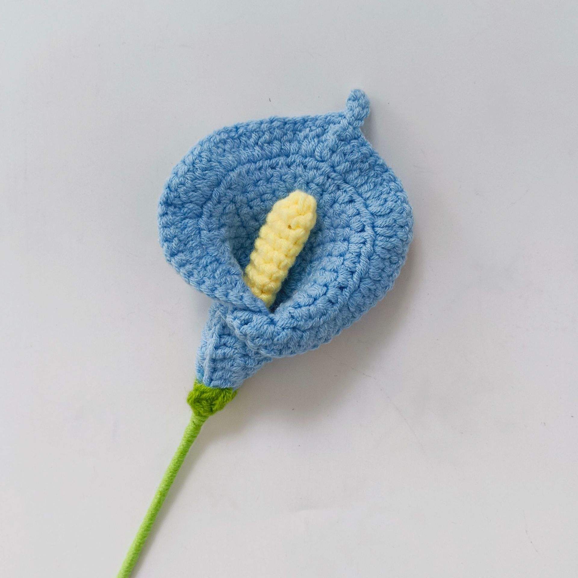 Lys calla, couleur bleue