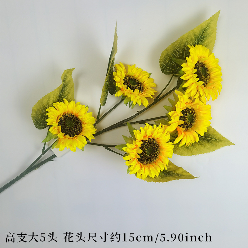 หัวขนาดเล็ก 5 หัวคุณภาพสูง