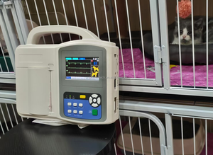 4.3 inç dokunmatik ekran tıbbi ekipman veteriner 3 kanal 5 otomatik yorumlama UN8003V ile ekg makinesi açar - Product Image 6