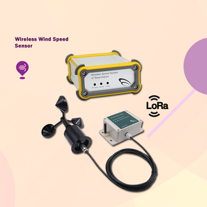 Wind Speed and Direction Real-time Remote Iot Controller Wind Speed Measuring Device Current <strong>Data</strong> <strong>Logger</strong> - Product Image 2