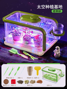 小学生のためのDIY温室野菜観察ボックスセット科学 & 工学玩具 - Product Image 6