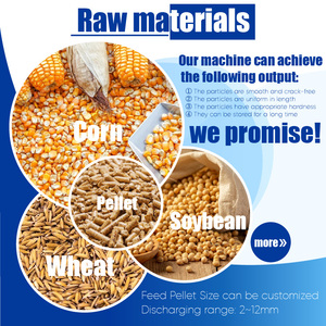 Richi chìa khóa trao tay pelletizing Máy động vật thức ăn tùy chỉnh Gà Thịt gà 1000 kg/giờ gà viên Máy làm - Product Image 2