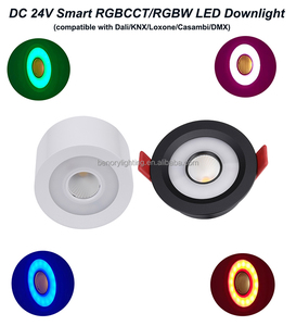 Shenzhen Benory RGBCCT Lighting Loxone <strong>PWM</strong> <strong>Dmx</strong> Dali Tree &amp; Air Smart Home <strong>Control</strong> RGBW Ceiling Spot 24v Dc Surface Downlight - Product Image 4
