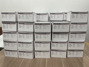 Elisa kitleri şeritler test T3 T4 TSH HBA1C açık sistem tüm Elisa makineleri DiaSino kontrol seti ile çalışabilir - Product Image 5