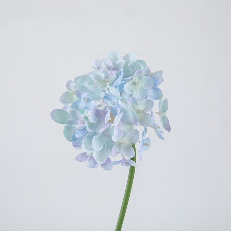 Bleu clair