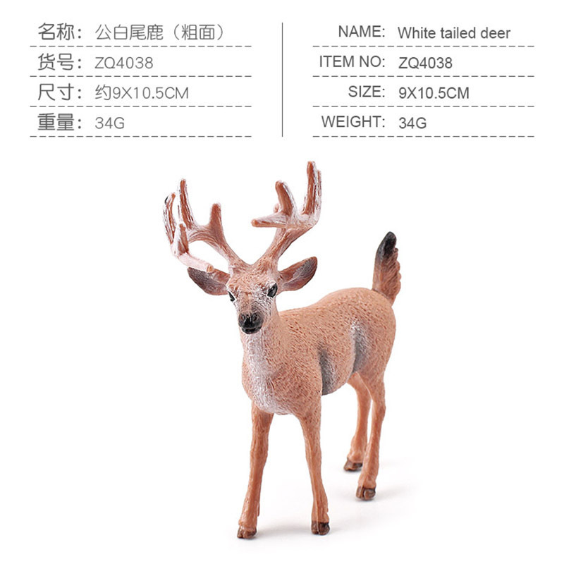 Cerf mâle à queue blanche coloré 4038, 34g