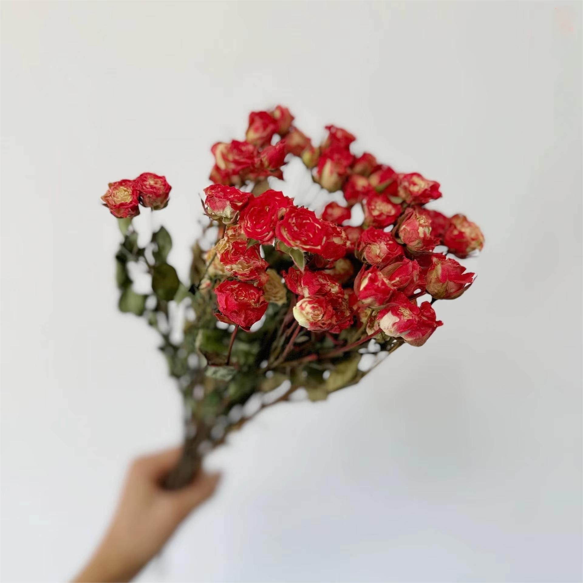 Tête de fleur chinoise rouge-10 multi-têtes-15cm
