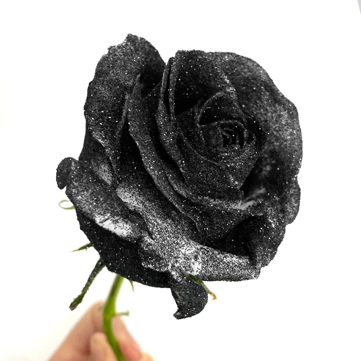 Noir