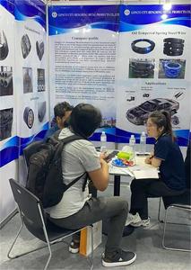 Dây Sắt Thép Mạ Kẽm 10 Thước Cho Dây Ràng Buộc Trong Vườn - Product Image 6